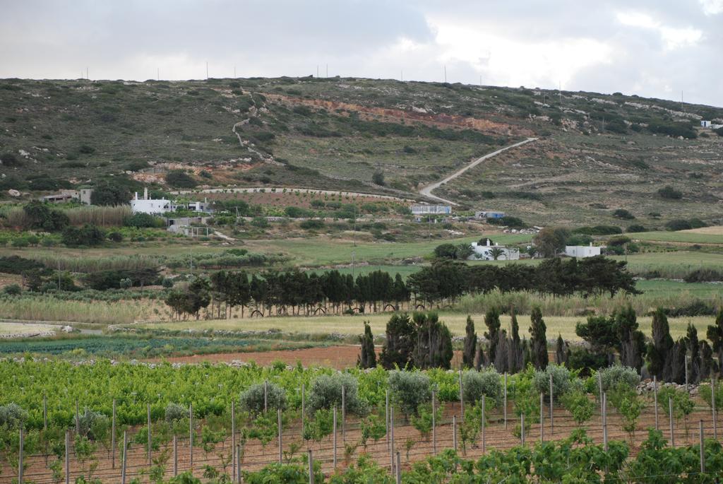 Villa Kampos Naousa-Marpisa Αμπελάς Εξωτερικό φωτογραφία