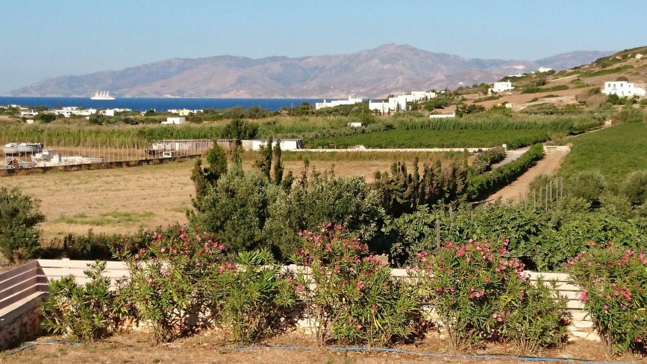 Villa Kampos Naousa-Marpisa Αμπελάς Εξωτερικό φωτογραφία